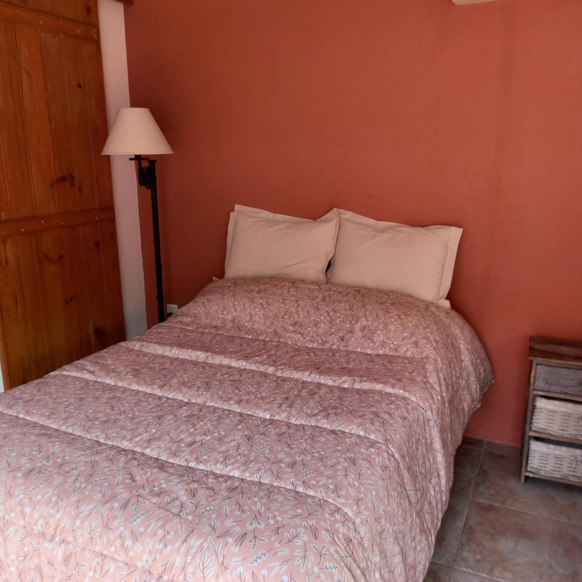 Monoambiente En Colonia Lejlighed Colonia del Sacramento Værelse billede